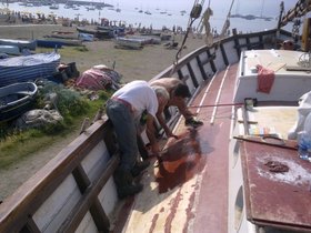 150620131573 Pitturazione coperta.jpg